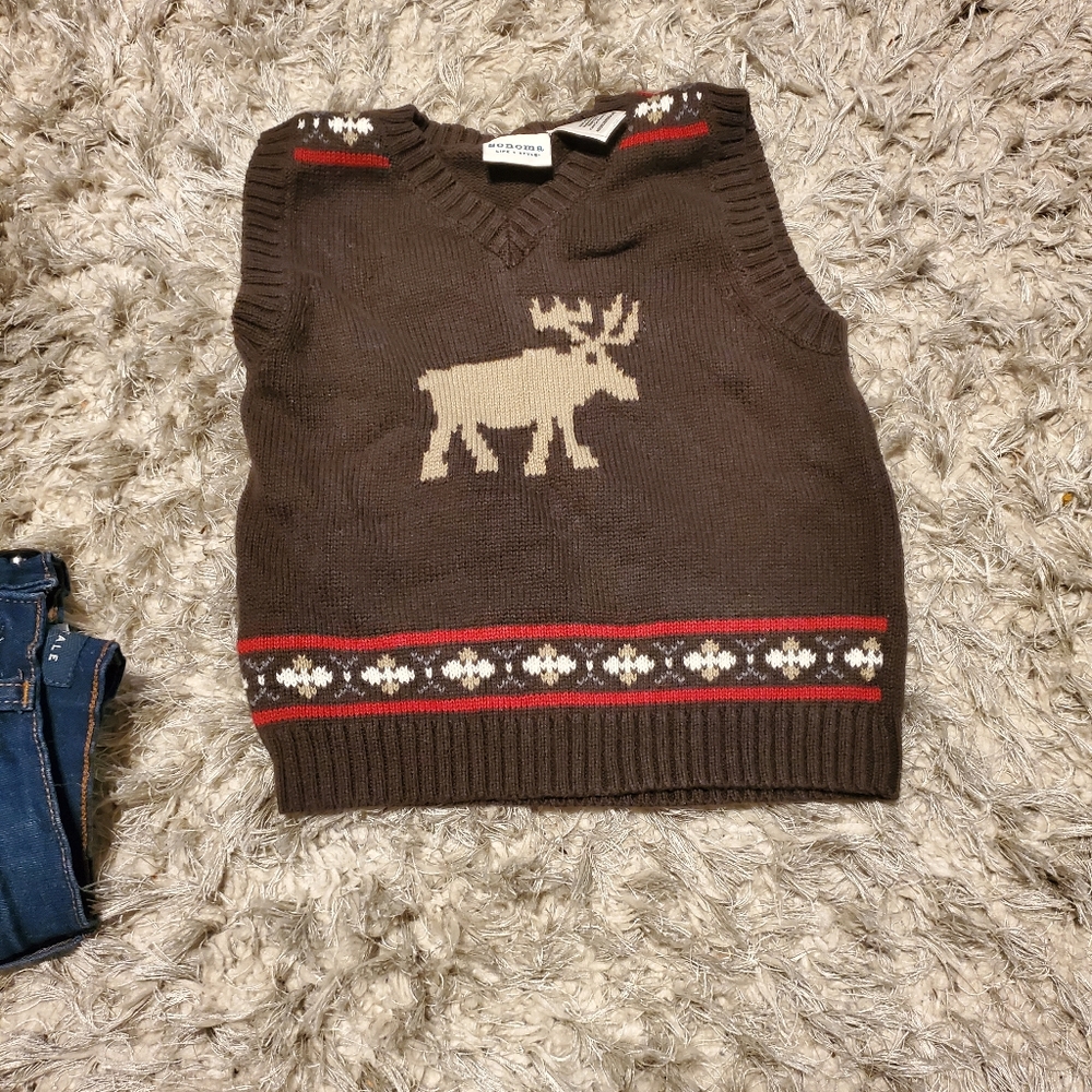 Christmas vest